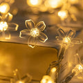 LED Solar String Lights | Outdoor Solar Powered Garden & Camping Lights