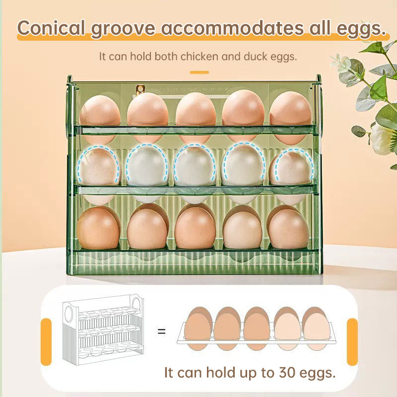 Fridge Egg Storage Tray